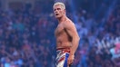 Jan 27, 2024; St. Petersburg, FL, USA; Cody Rhodes celebrates after winning the Men&rsquo;s Royal Rumble match at Tropicana Field.