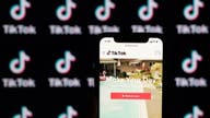 Federal lawsuit against TikTok to focus on children's privacy: report