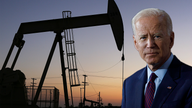 Economist warns Biden's energy policies are empowering our enemies: 'Makes no sense'