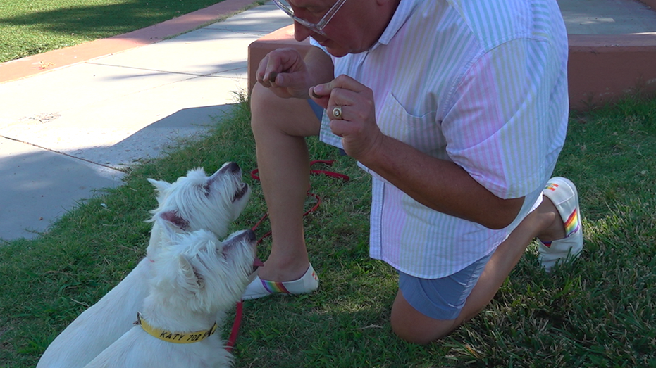 A man feeding two dogs treats