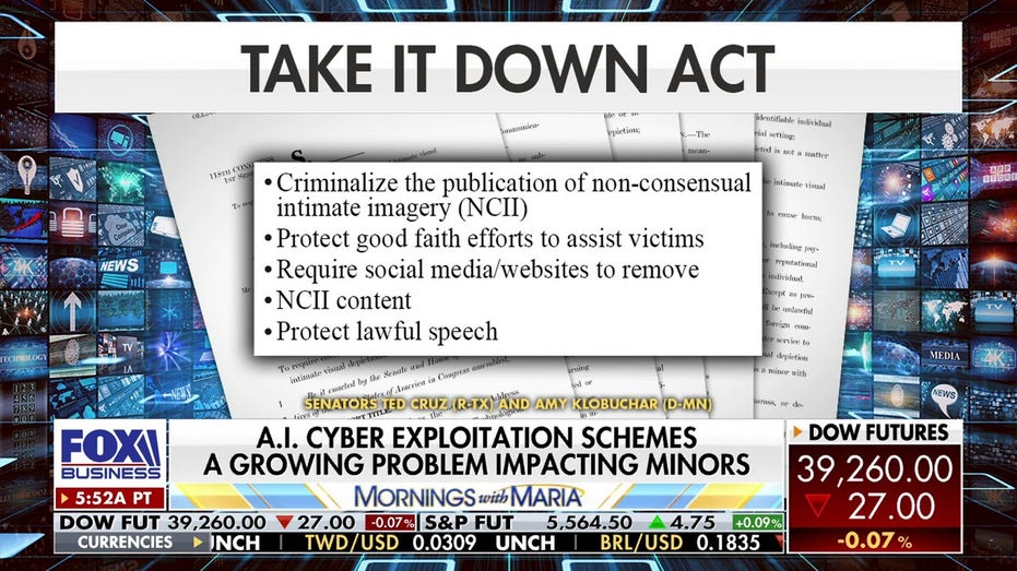 Take it Down Act details