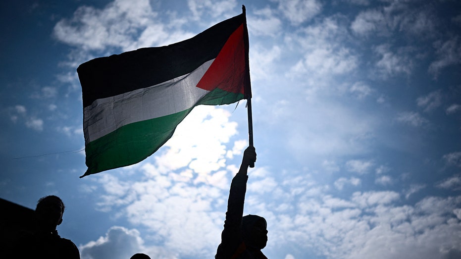 Pro-Palestinian flag