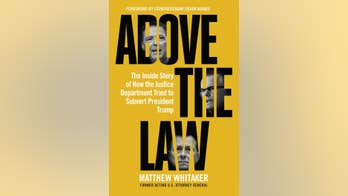 'Above the Law' by Matthew Whitaker