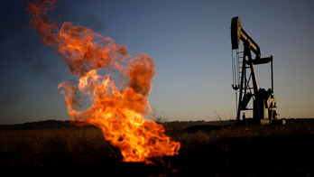 Climate justice group that trains federal judges accused of 'corruptly influencing courts'