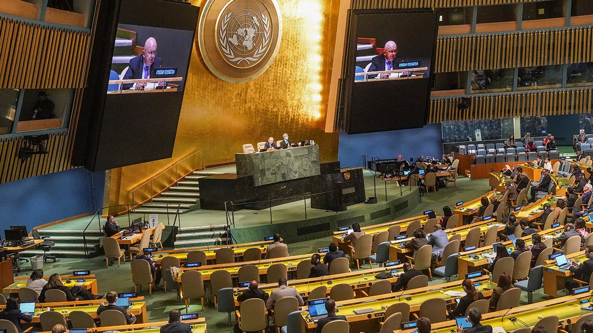 A photo of United Nations ambassadors
