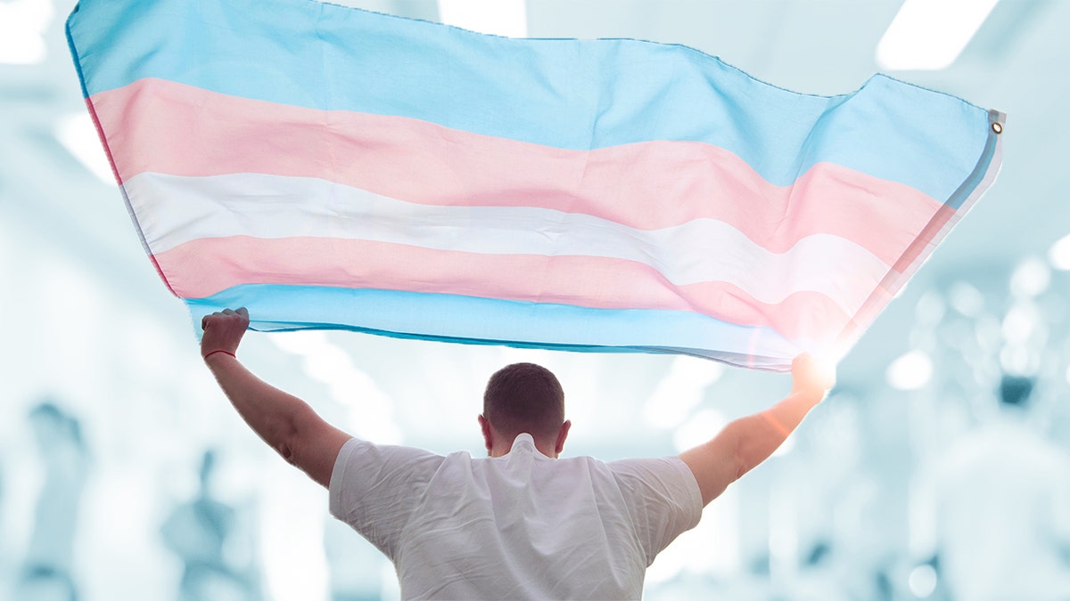 Detransitioned flag gender identity