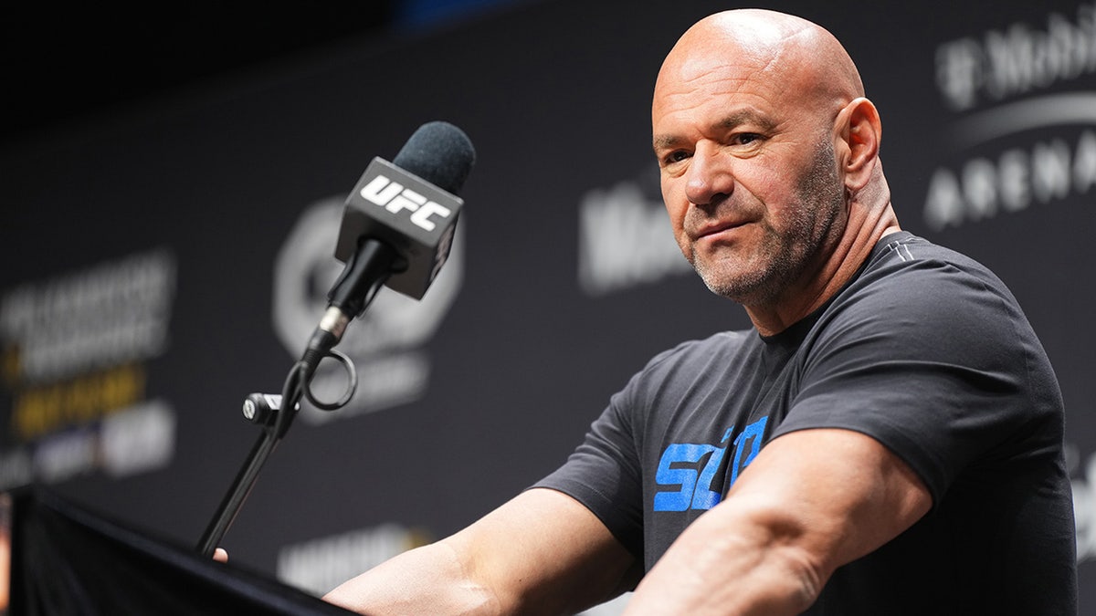 Dana White speaks before UFC 290