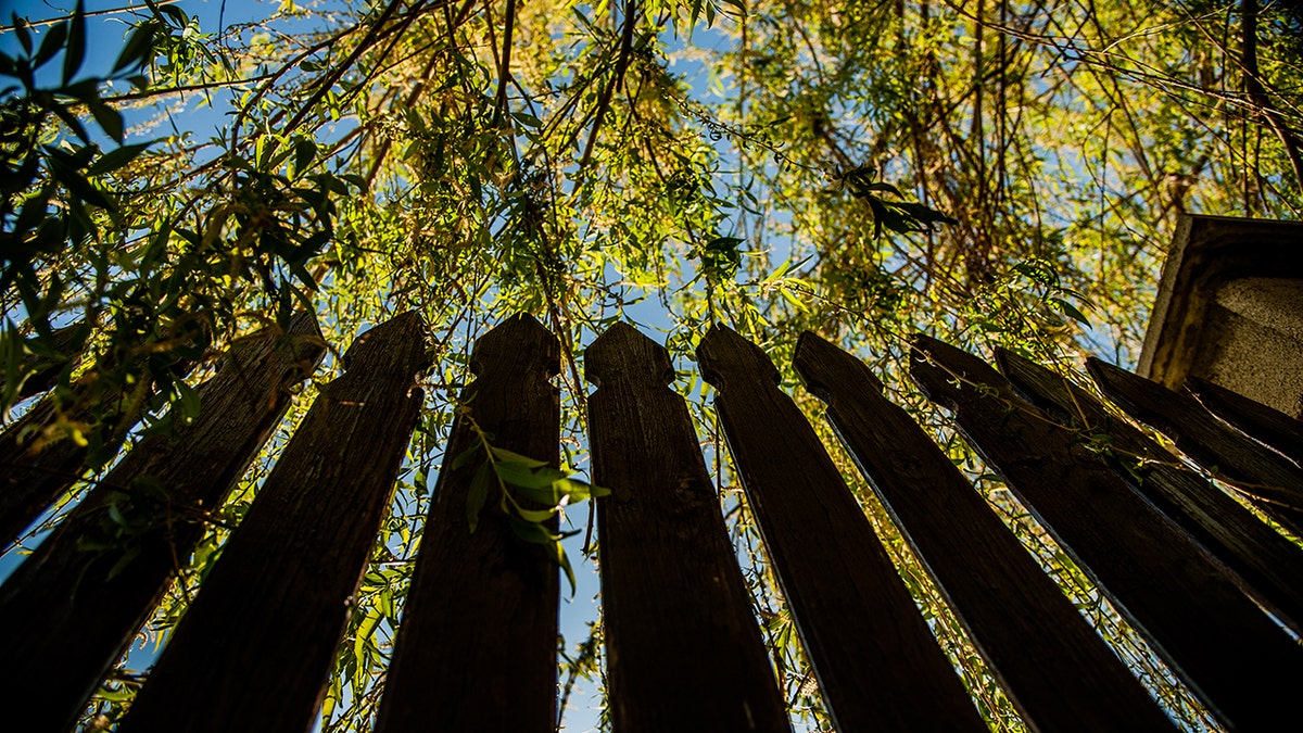 A wooden fence