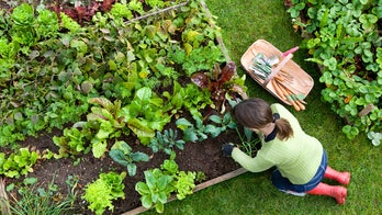 10 garden tools every gardener should have