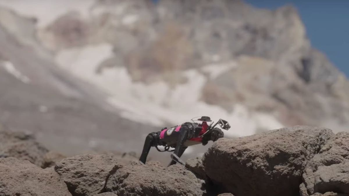 Crazy-strong robotic dogs gear up for rescue moon mission