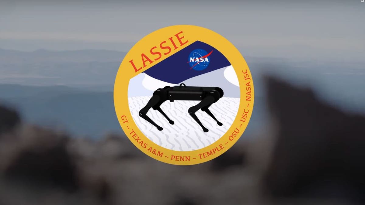 Crazy-strong robotic dogs gear up for rescue moon mission