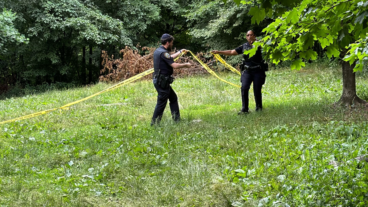 Crime scene in Central Park