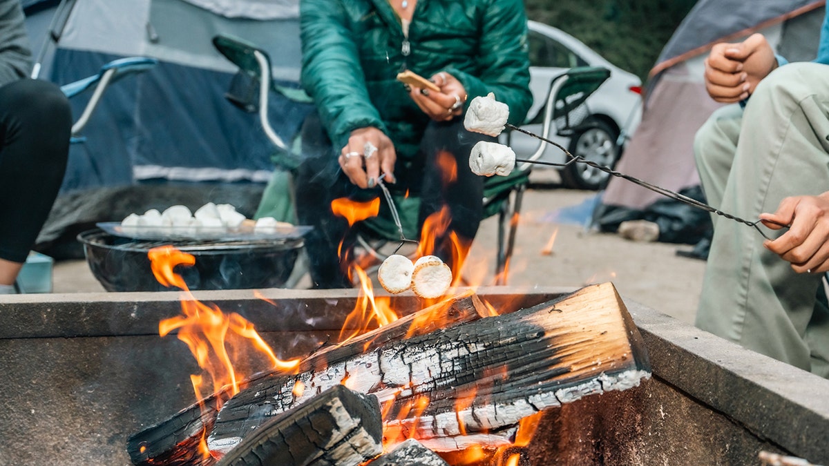 Friends roasting marshmallows around the campfire