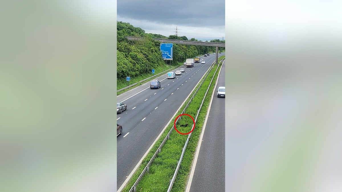 Yoga on highway