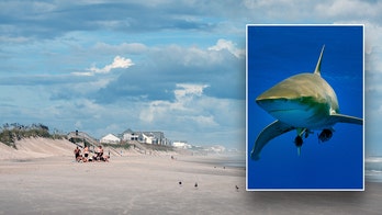 Shark bites teenager's leg in attack at North Carolina beach