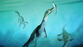 Fossil of ancient sea reptile is oldest found in Southern Hemisphere