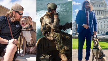 Veterans with PTSD get 'significant' benefits from service dogs, first NIH-funded study finds