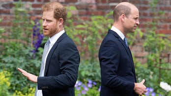 Prince William, Prince Harry's royal cousins hold key to rescue monarchy from warring brothers: experts