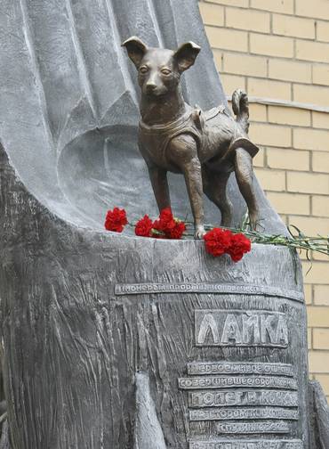 Homenagem. Uma estátua em homenagem a Laika (o primeiro ser vivo a entrar no espaço), retratada em pé em cima de um foguete, foi inaugurada em Moscou: monumento fica perto de centro de pesquisa militar em Moscou, responsável por preparar o voo da Laika ao espaço