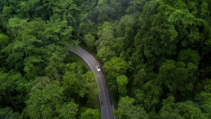 Image taken from above of car driving on a road through a forest