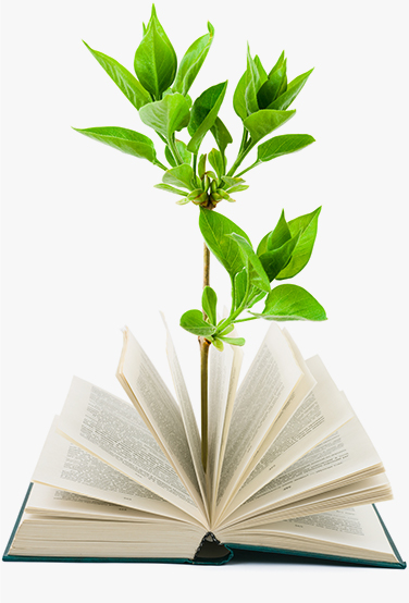 Plant growing out of a book