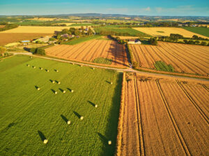 farmland