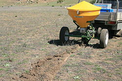 Sparsely grassed paddock with small baitlayer