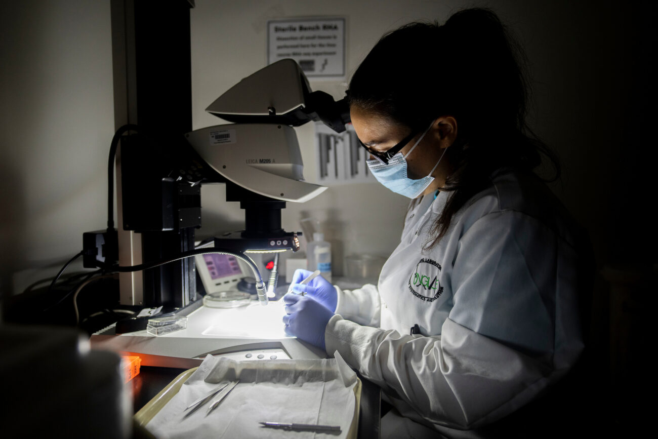 a woman in protective clothing examines a sample through a microscope