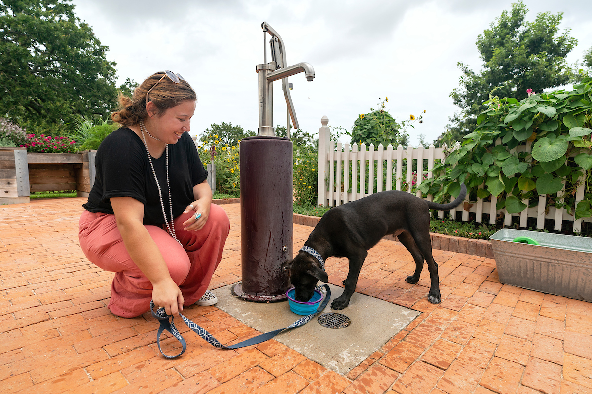 Protect pets during the dog days of summer