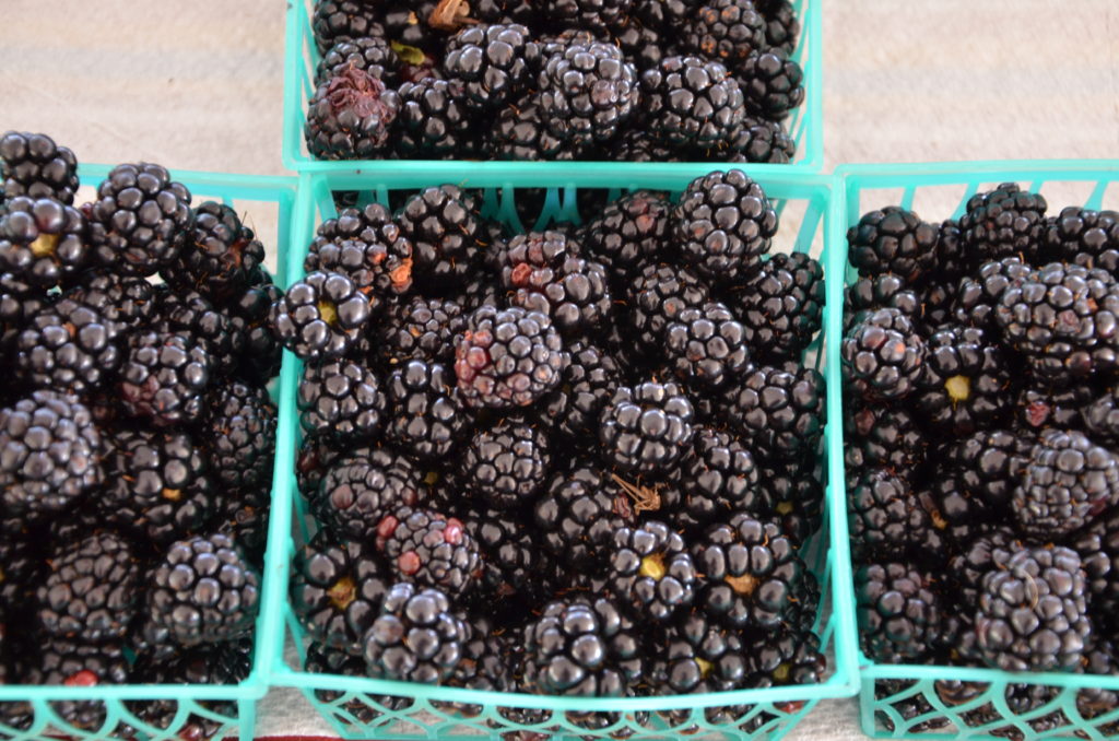 Blackberries, blueberries, other fruits contribute to Texas agriculture