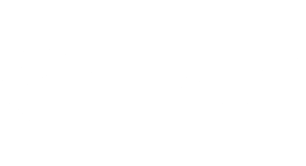 Socialité