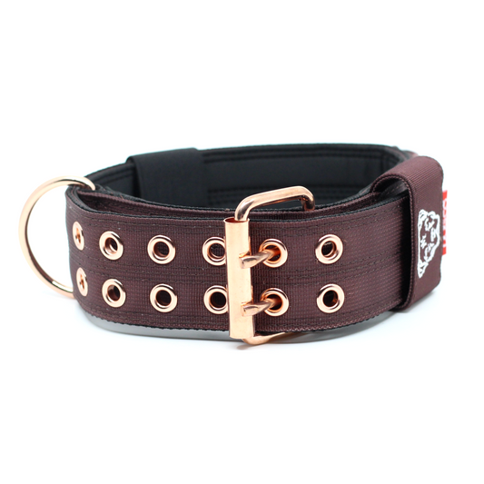 Expedition Dog Collar - Chocolate