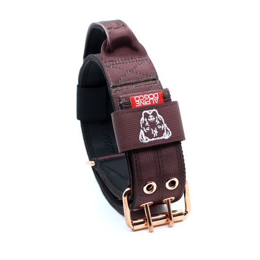 Expedition Dog Collar - Chocolate