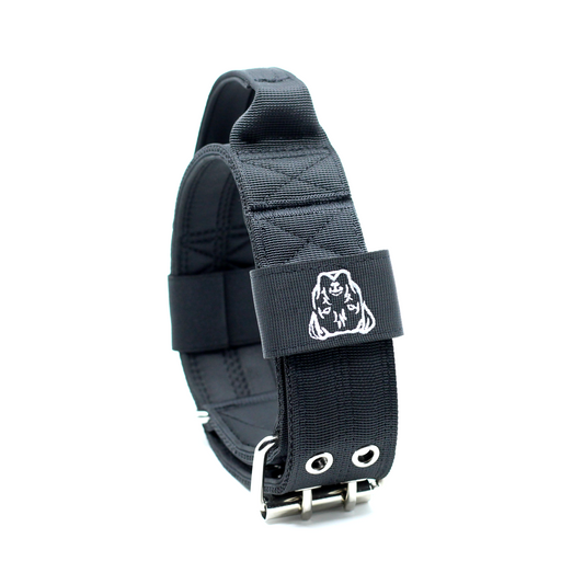 Expedition Dog Collar - Black