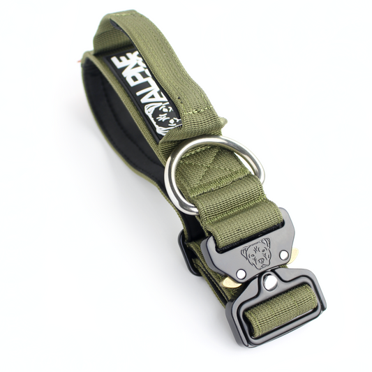 1.5" Tacti Slim Dog Collar - Olive