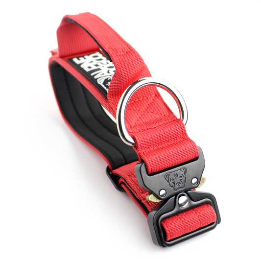 1.5" Tacti Slim Dog Collar - Apple