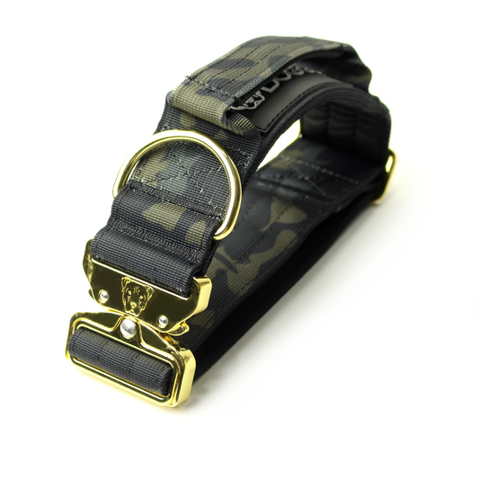 2" Tacti Luxe Dog Collar - Gold Camo