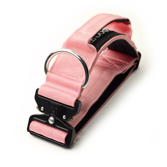 2" Tactik Dog Collar - Rose