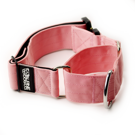 2" Martingale Dog Collar - Rose