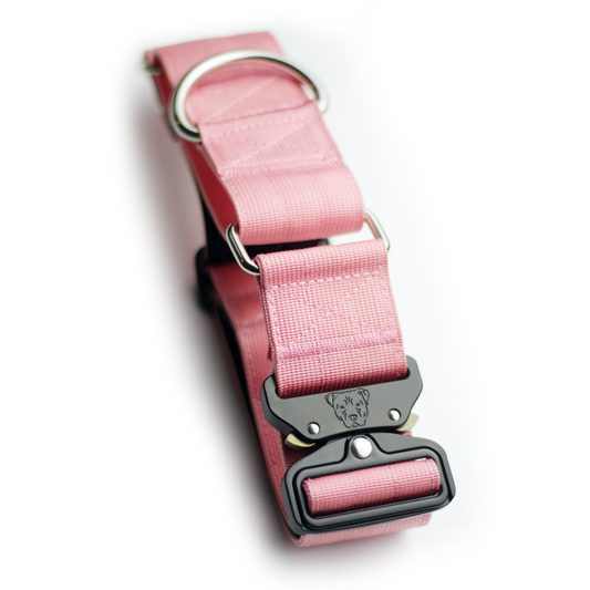 2" Martingale Dog Collar - Rose