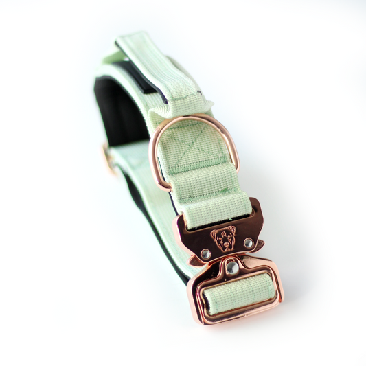 1.5" Tacti Dog Collar Slim Luxe - Rose Gold - Honeydew