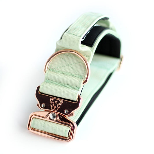 2" Tacti Luxe Dog Collar - Rose Gold - Honeydew