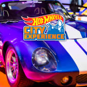 Hot Wheels City Experience - Lista de espera