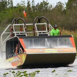 Everglades Airboat & Wildlife Show & Roundtrip Transport from Miami