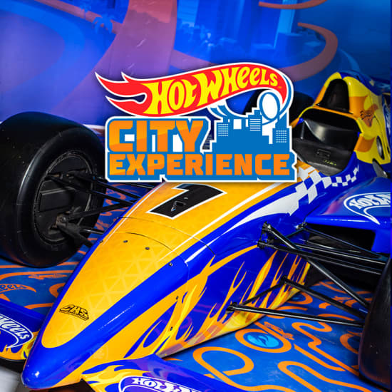 Hot Wheels City Experience - Lista de espera