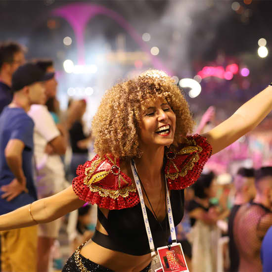 Carnaval do Rio de Janeiro 2025 - Arquibancadas