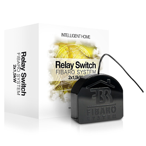 Double Relay Switch