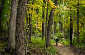 Nerstrand Big Woods State Park is near the site of a gravel mine that was recently permitted by Rice County.