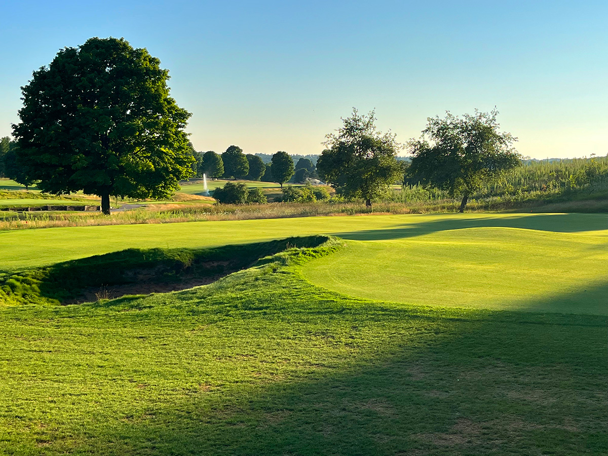 A large maple tree dominating the edge of the fairway with two smaller apple trees nearby.