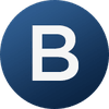 Letter B Icon